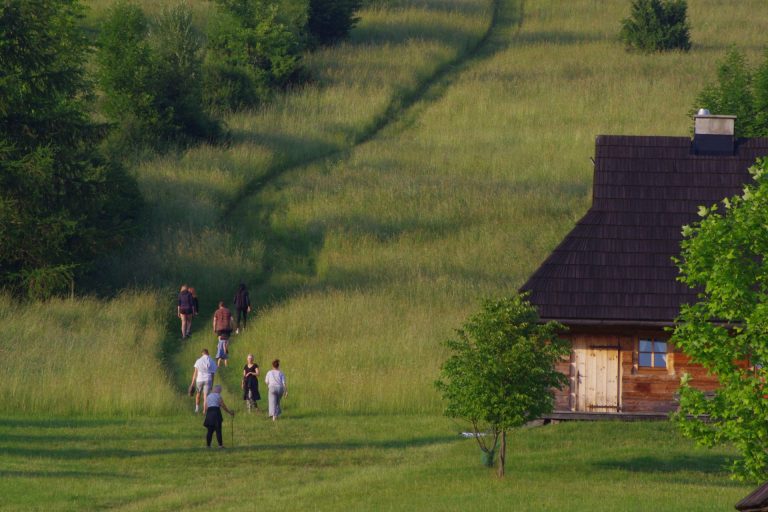 Uczestnicy retreatu jogowego w Bieszczadach